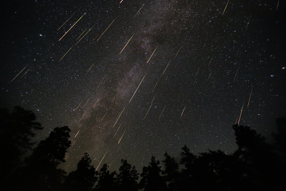 Perseid,Meteor,Shower.,Collage,Of,Photos,Taken,On,The,Night