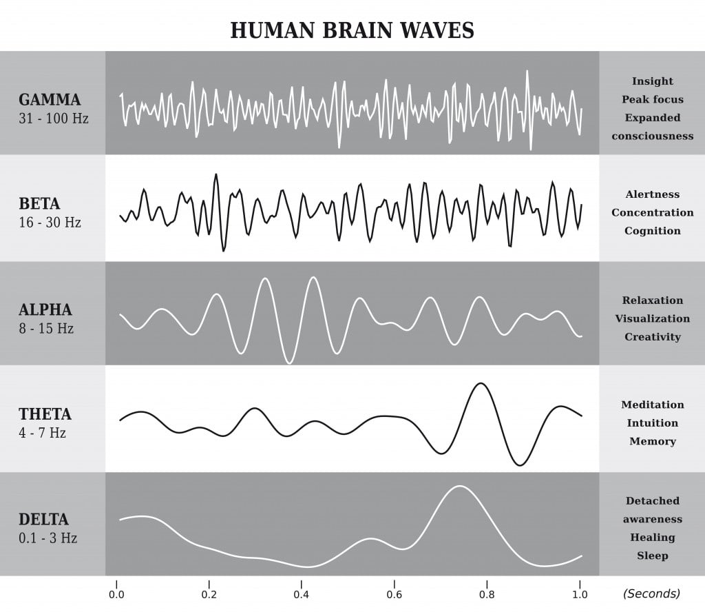Human Brain Waves Diagram