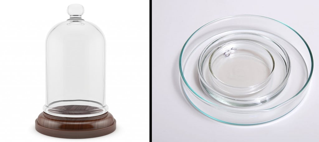 The bell jar and plate of Koch's bacterial growth technique