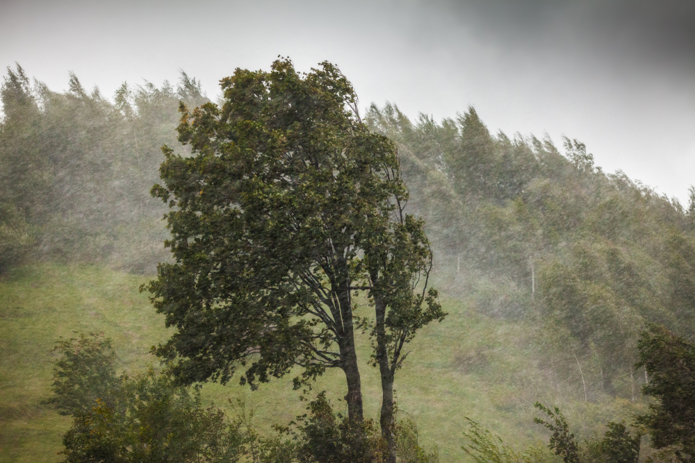 Climate,Change,â??,Strong,Winds,And,Rain