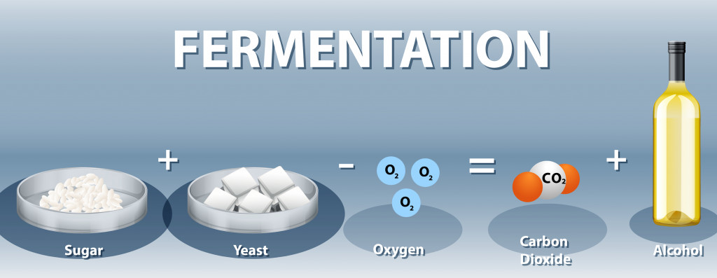 Alcoholic fermentation chemical equation illustration