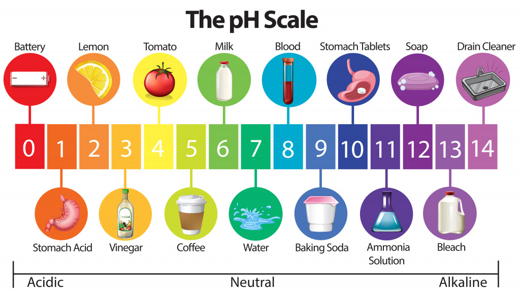 An Education Poster of pH Scale illustration
