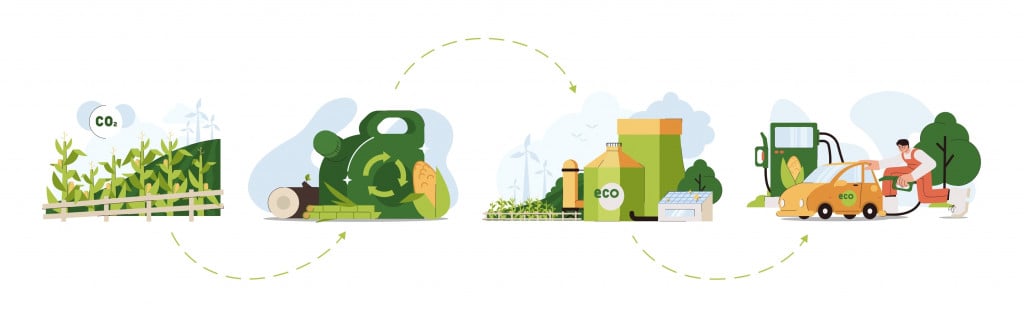 Biofuel life cycle flat vector illustration