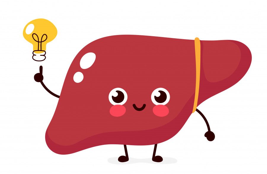 Happy cute liver with light bulb character