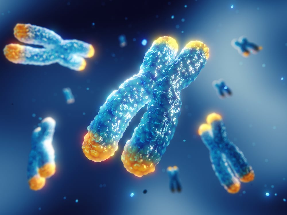 Telomeres,Are,Found,On,Both,Ends,Of,Chromosomes,,3d,Illustration.