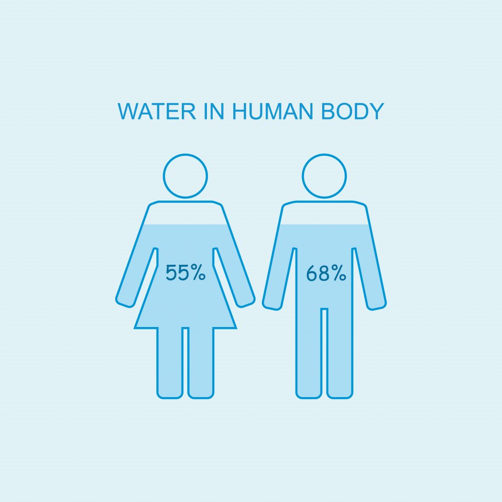 Water in human body