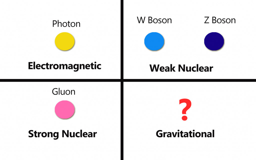 Matter members of particle family