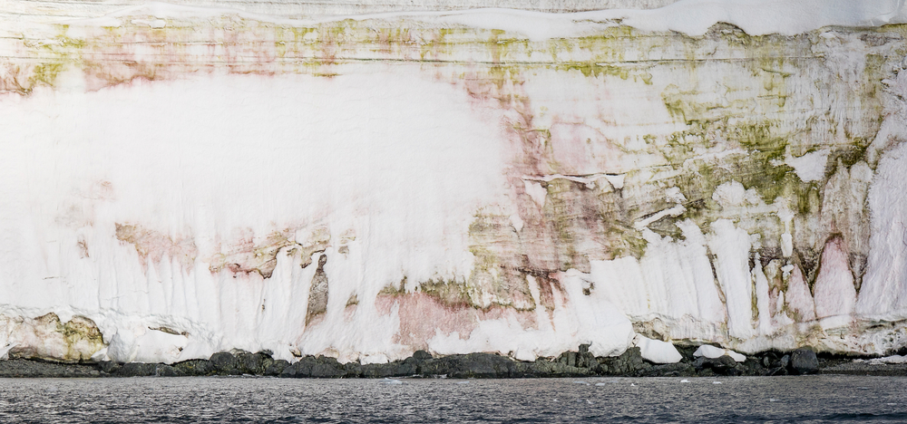 View,Of,The,Pink,And,Green,Snow,Algae-covered,Glacier's,Edge