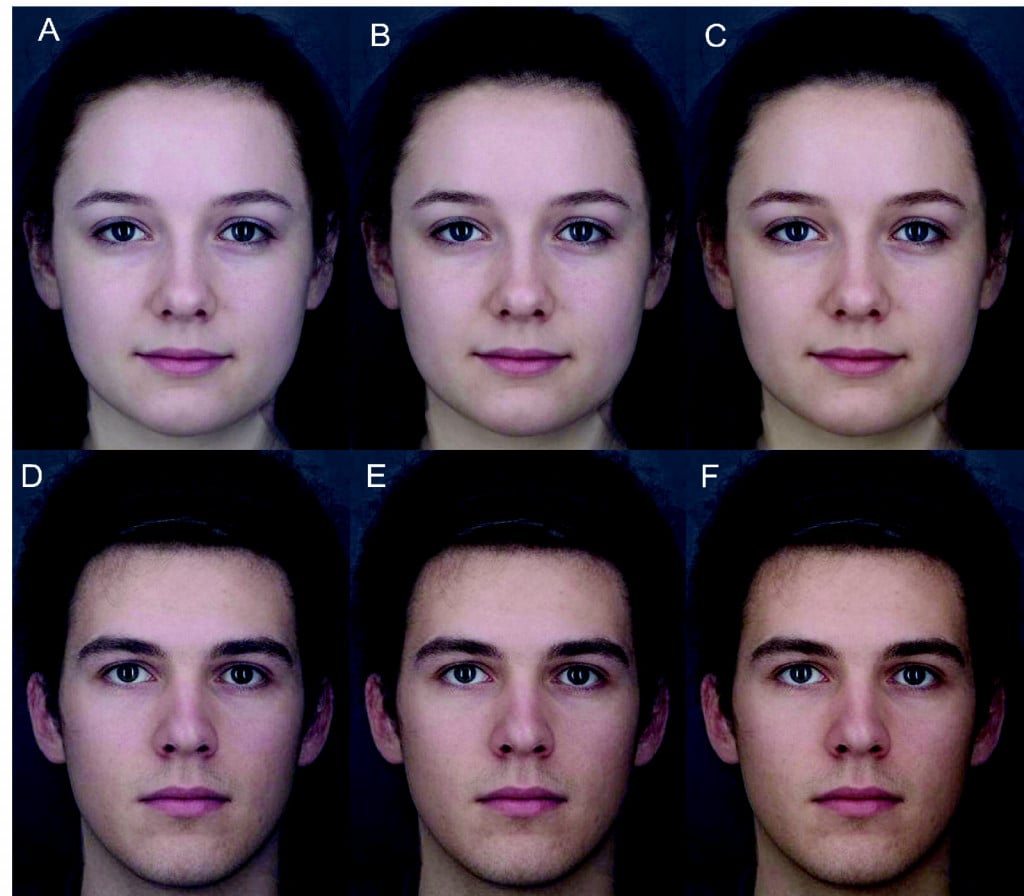 A cross-cultural study showed that individuals showed preference for raised skin yellowness in their faces