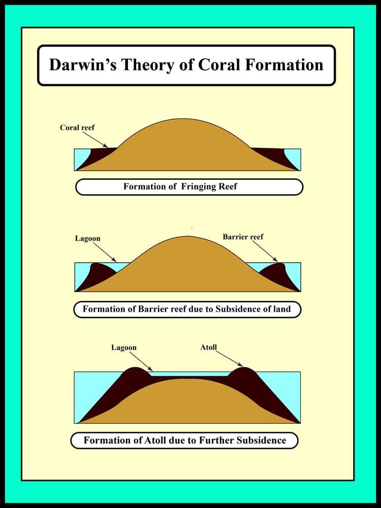 Darwin,Theory,Of,Coral,Formation