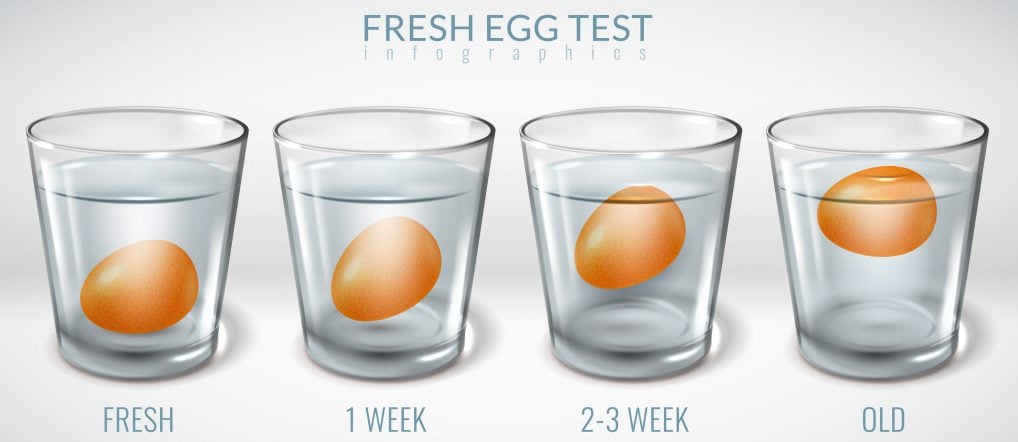 Egg floating freshness test glass water. Realistic horizontal illustration