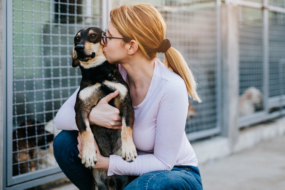 Young,Adult,Woman,Holding,Adorable,Dog,In,Animal,Shelter.