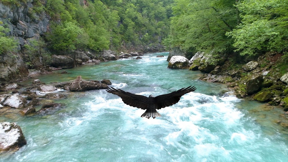 Canyon,Of,The,River,Tara,From,A,Bird's-eye,View.