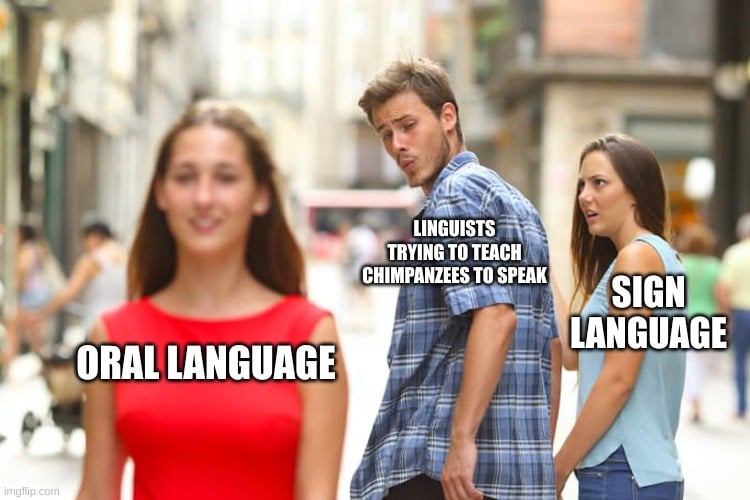 LINGUISTS TRYING TO TEACH CHIMPANZEES TO SPEAK