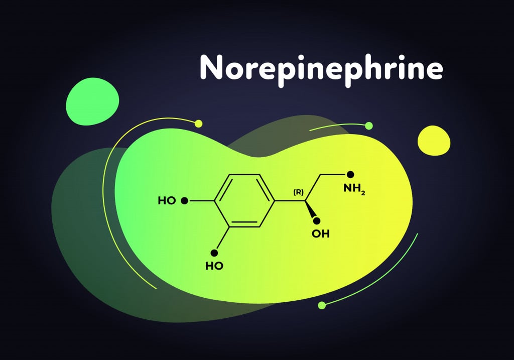 Vector hormones fluid moedrn banner. Norepinephrine structure in liquid gradient trendy shape on black.