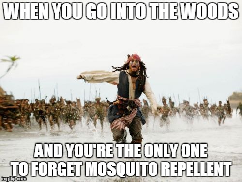 WHEN YOU GO INTO THE WOODS AND YOU'RE THE ONLY ONE TO FORGET MOSQUITO REPELLENT meme