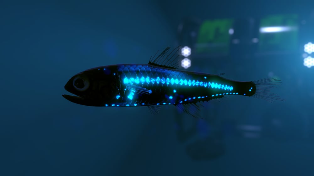 Deep,Sea,Lantern,Fish,3d,Rendered