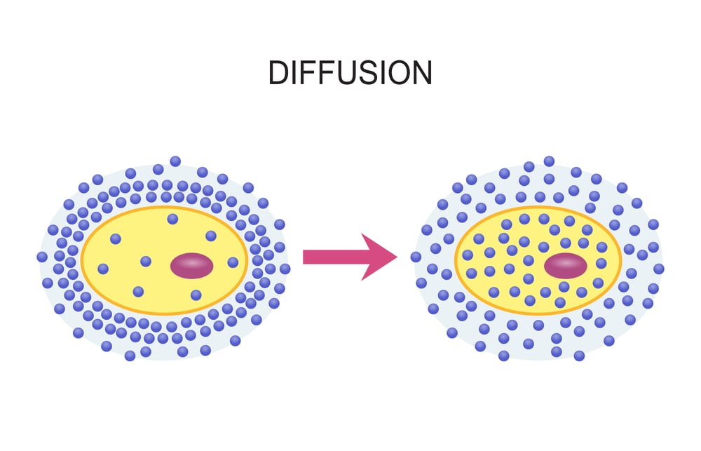Diffusion,Across,Cell,Membranes