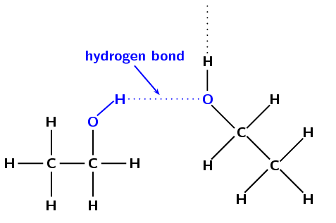 Hydrogen bonds