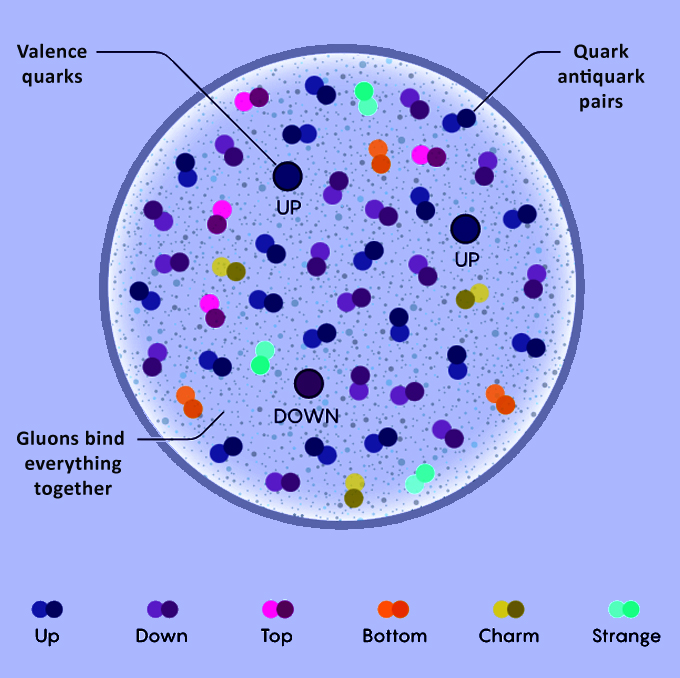 The Proton Sea