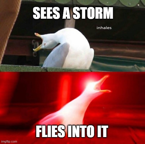 sees a storm