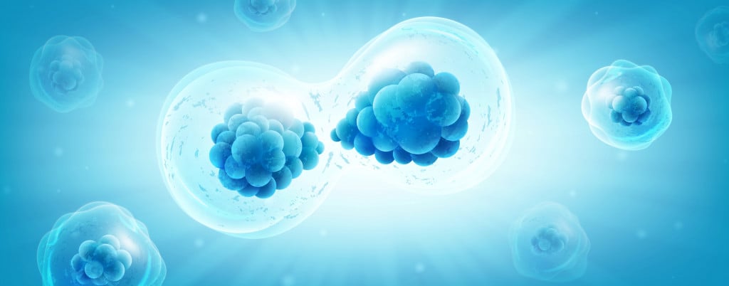 3D Rendering human or animal cells on blue background