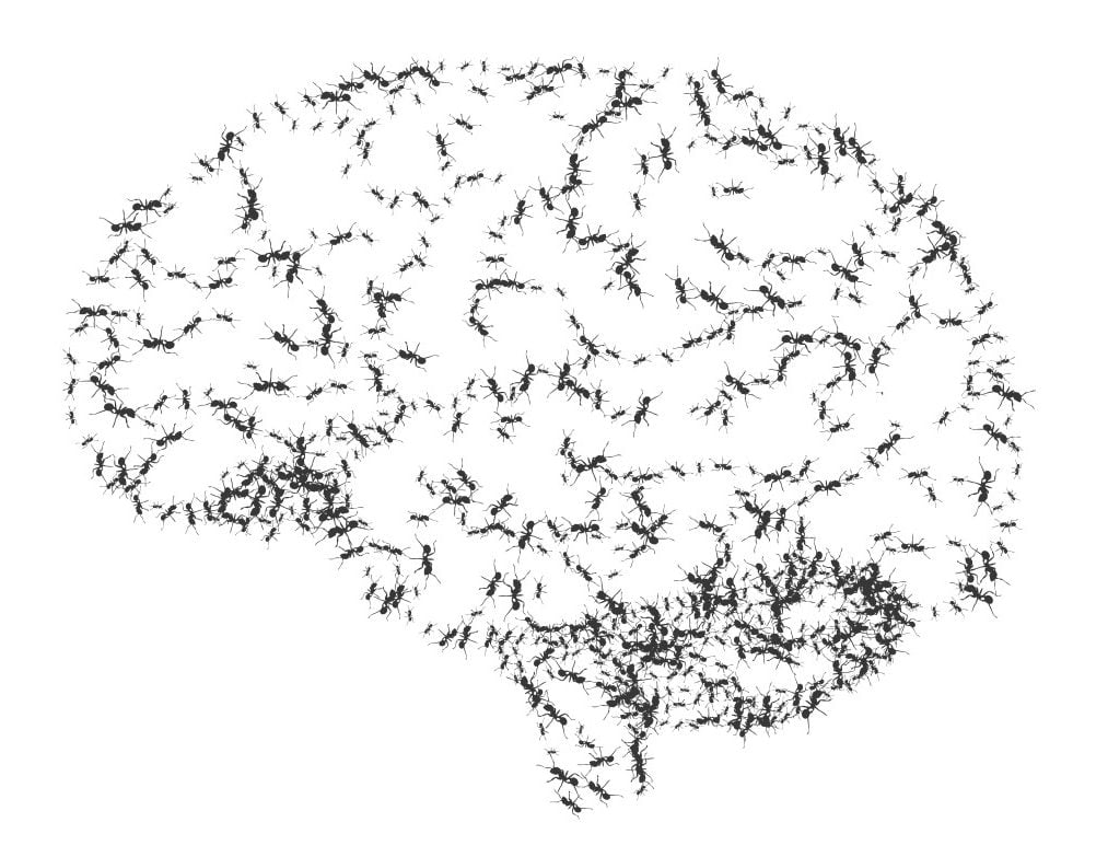 Abstract brain with ants instead of convolutions
