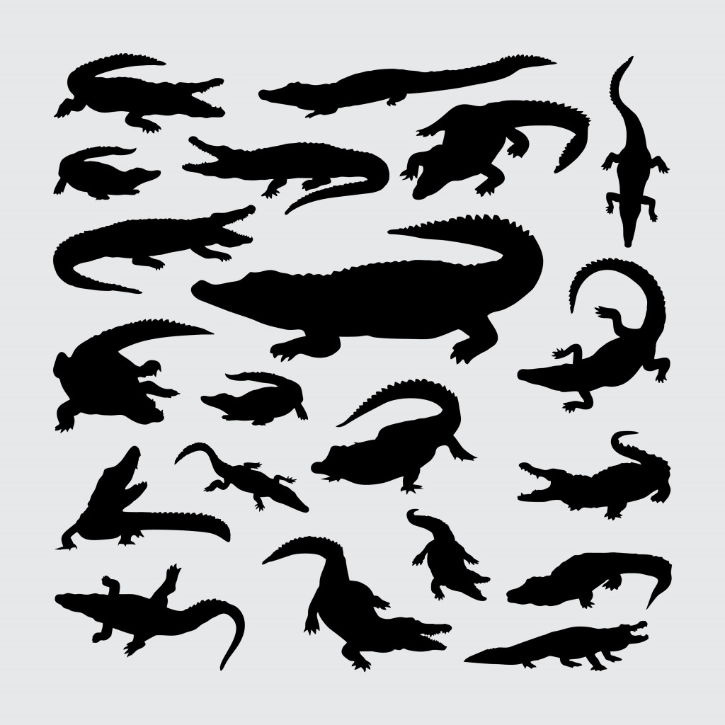 Crocodile Silhouette. A set of crocodile silhouettes