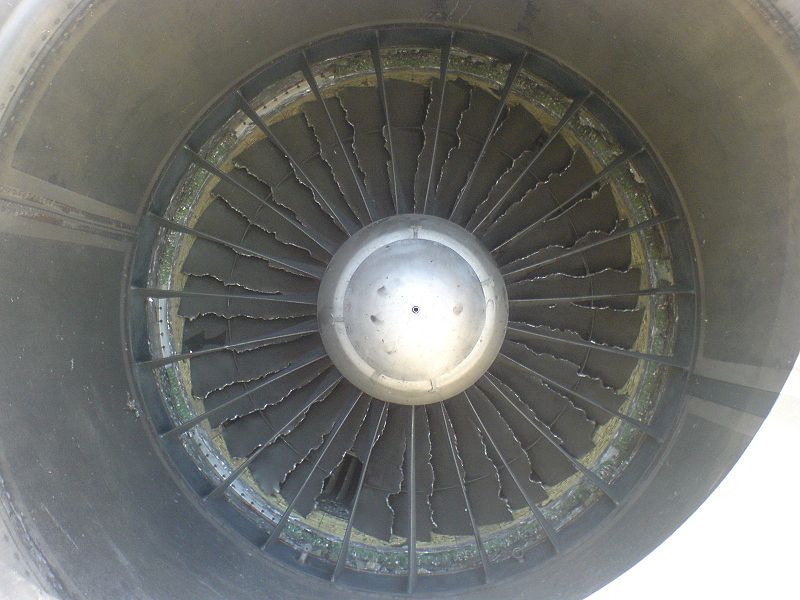 Engine after Bird Strike