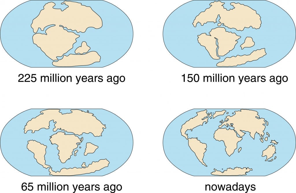 Evidence Of Continental Drift For Kids