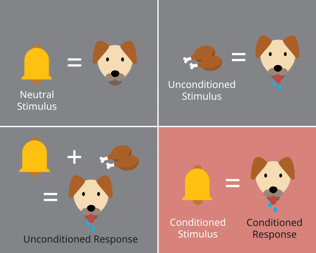 classical conditioning or Pavlovian or respondent conditioning for learning new stimulus