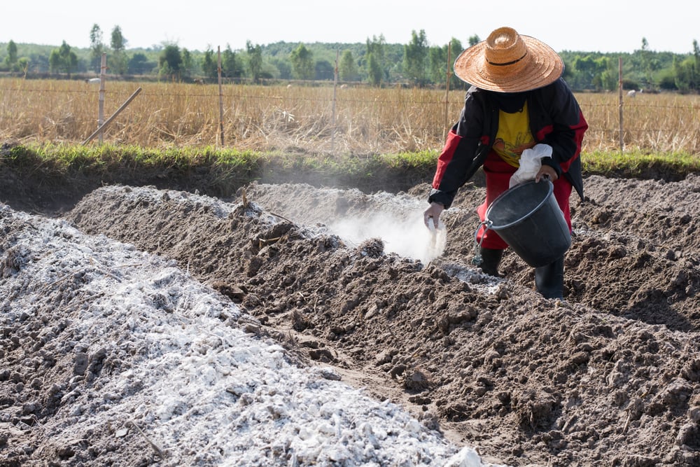 Gardeners,Put,Lime,Into,The,Soil,To,Neutralize,The,Acidity