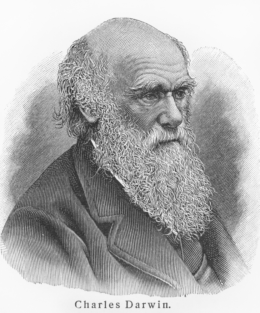 Charles,Darwin,-,Picture,From,Meyers,Lexicon,Books,Written,In