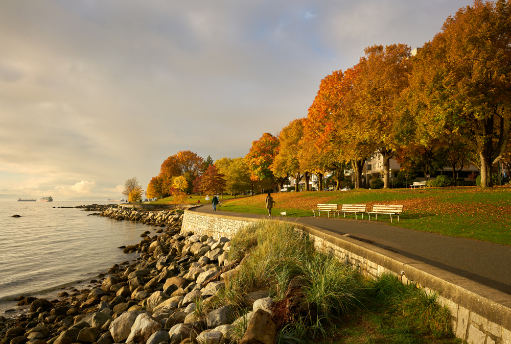 Stanley,Park,Seawall,Path,Autumn.,Autumn,Leaves,Line,The,Stanley