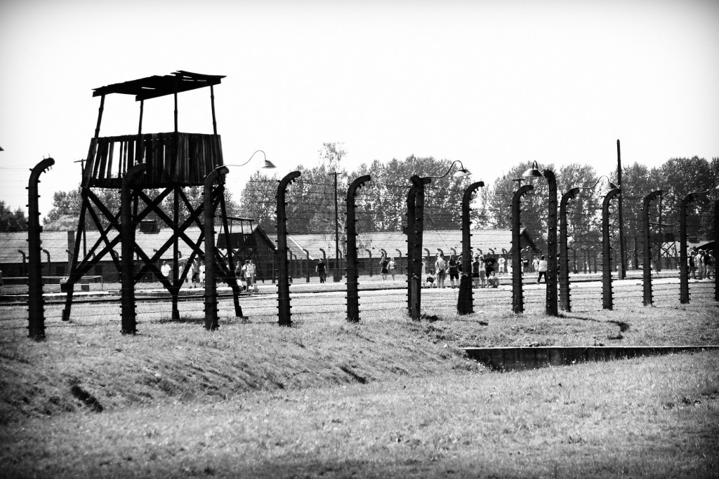 concentration-camp-g49599d7a9_1920