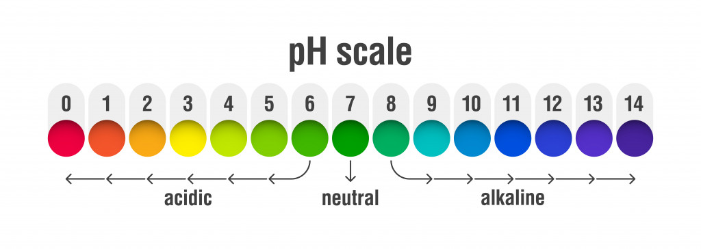 pH value scale chart for acid and alkaline solutions