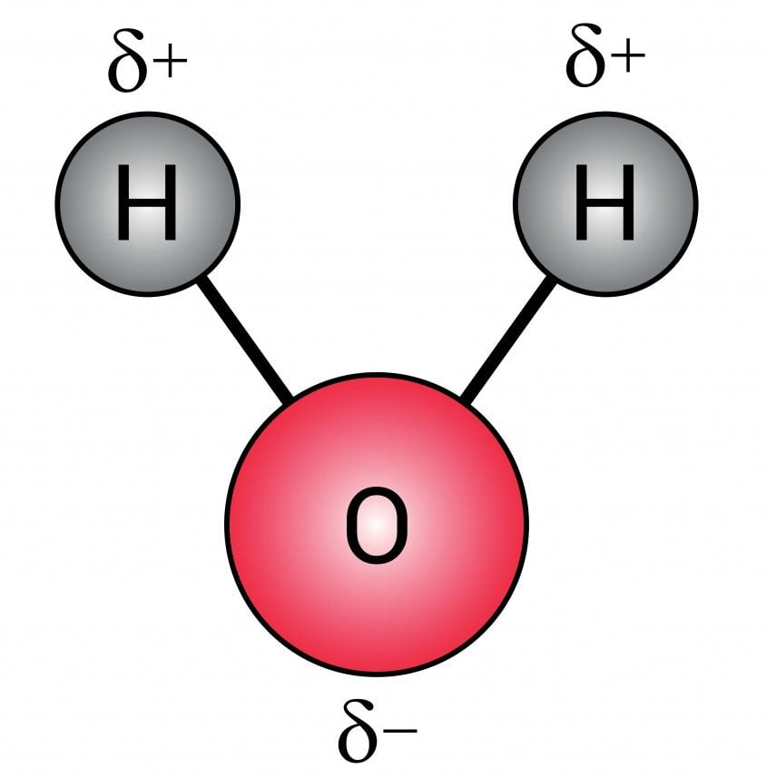 the polar covalent bonds of water molecules (H2O)
