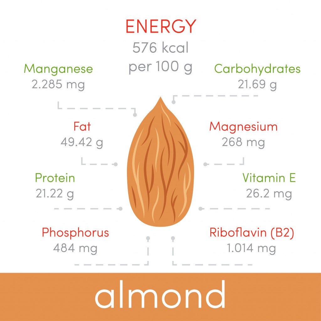 Nutritional value of almonds, vector infographic elements