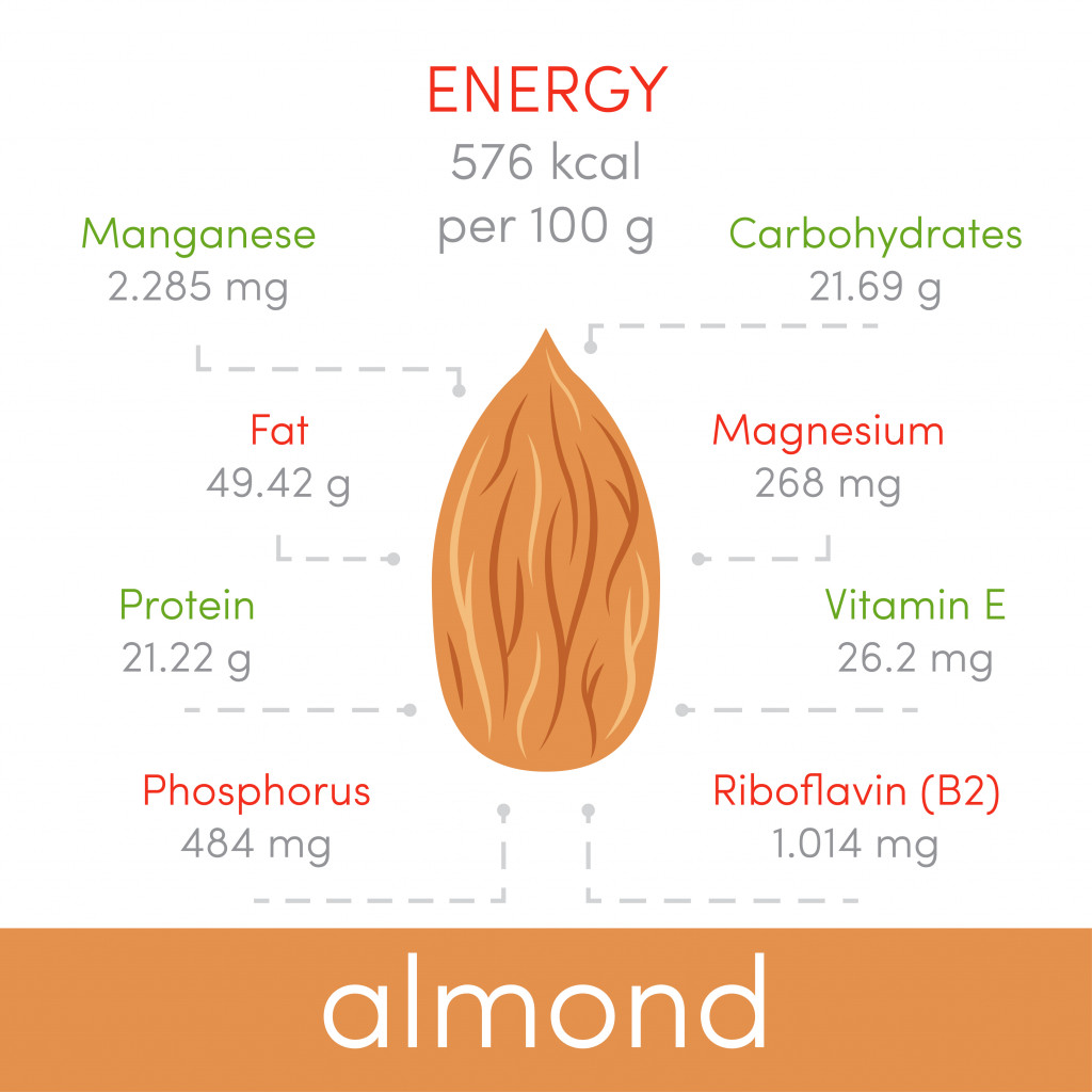 Nutritional value of almonds, vector infographic elements