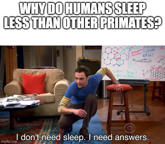 WHY DO HUMANS SLEEP LESS THAN OTHER meme