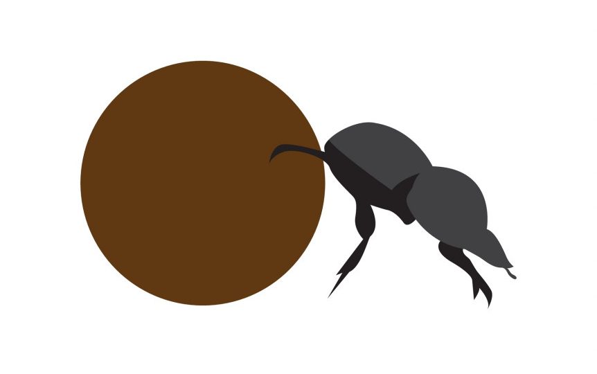 dung beetle flat logo symbol icon vector graphic design illustration idea creative