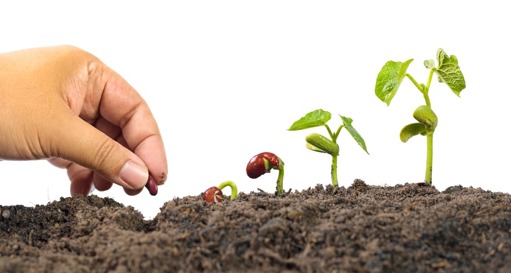 Agriculture,And,New,Life,Starting,Concept.,Farmer,Hand,Seed,Planting