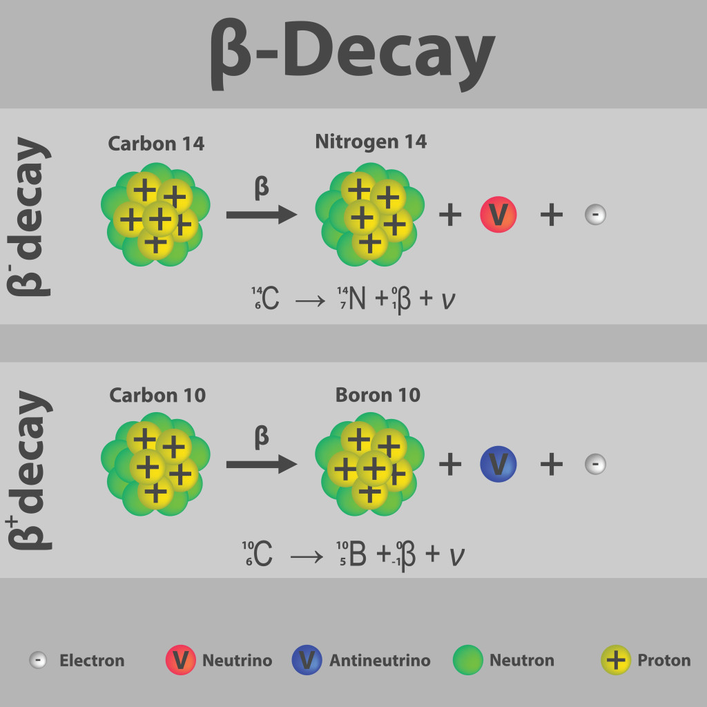 Beta plus and Beta minus Decay of carbon infographic with equation