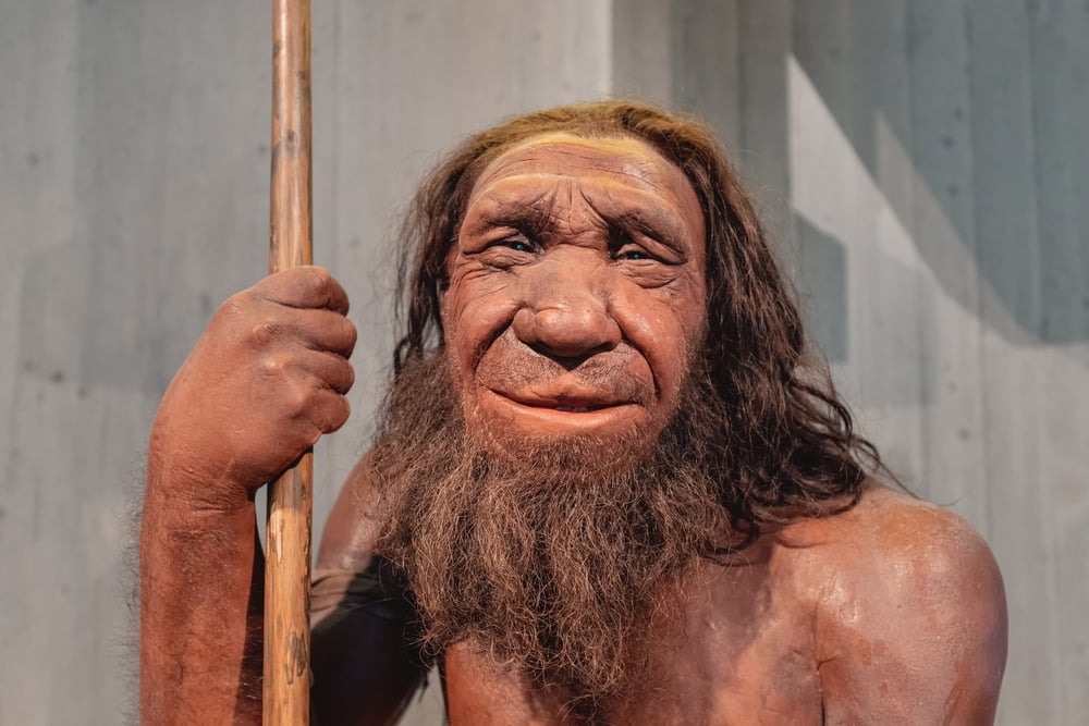 22,July,2022,,Neanderthal,Museum,,Germany:,Detailed,Wax,Figure,Of