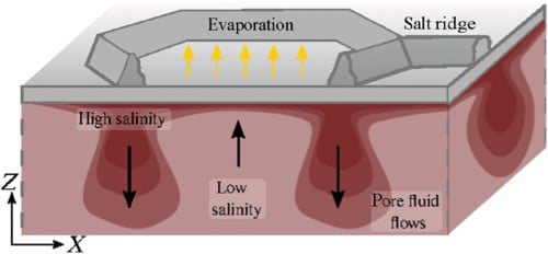 Proposed dynamics of patterned salt crusts