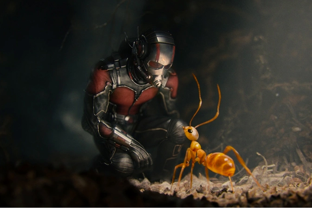 Ant man and ant