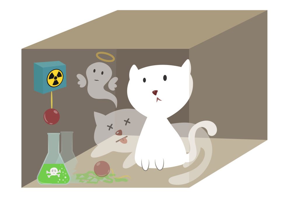 The life and death of Schrodinger's cat vector illustration (2)