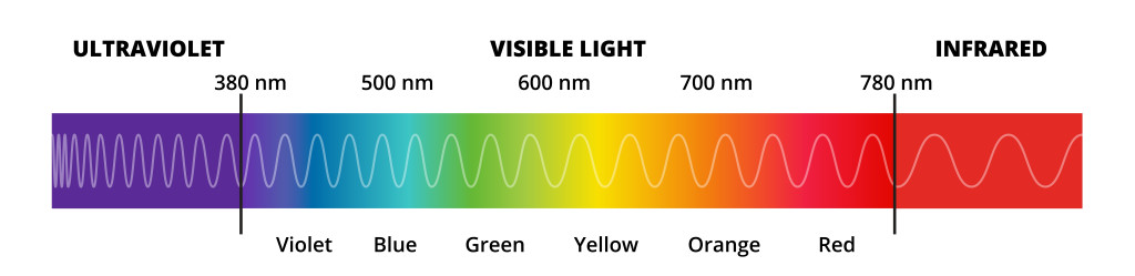 Vector diagram with the visible light spectrum. Visible light, infrared, and ultraviolet. Electromagnetic spectrum visible to the human eye.